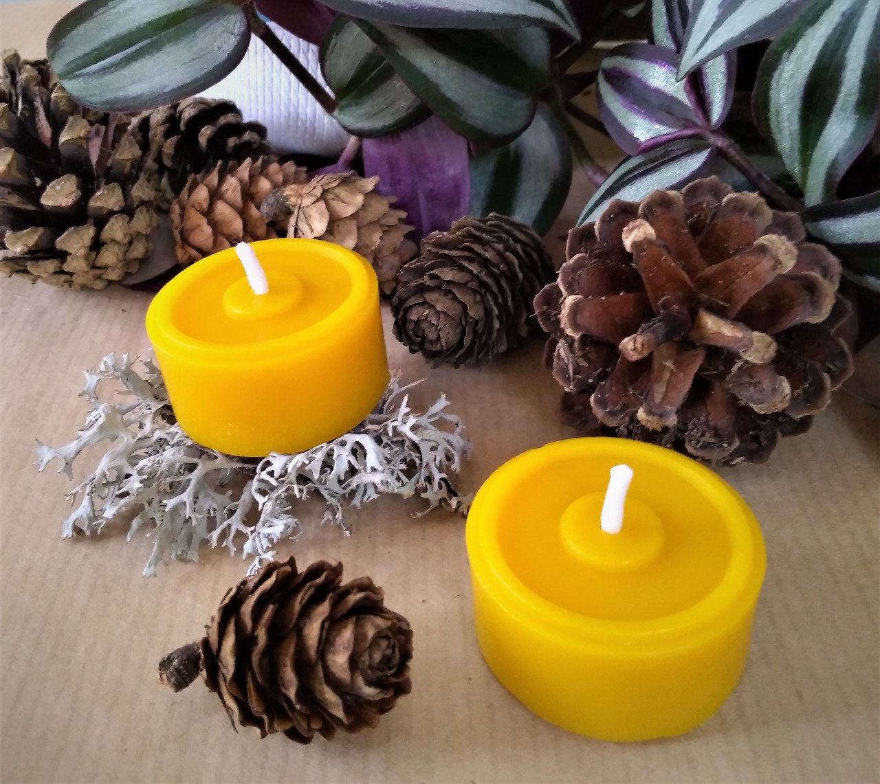 Bougie Chauffe-plat En Cire D'abeille - Faite Main En France - Parfum Miel - H 15 Mm