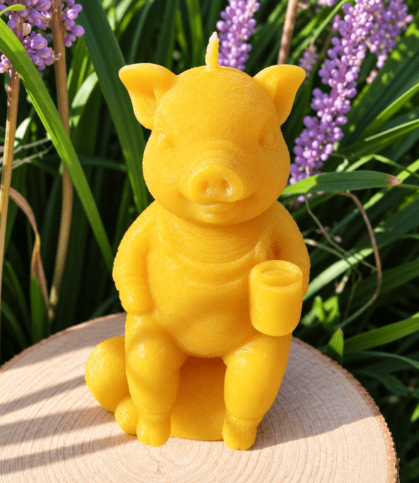 bougie-cochon-cire d'abeille